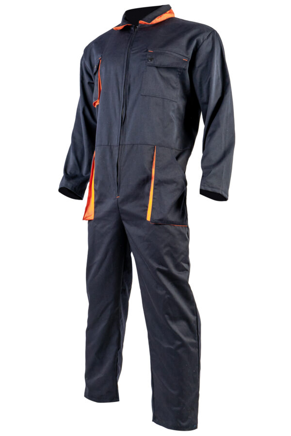 T DSC01818-1