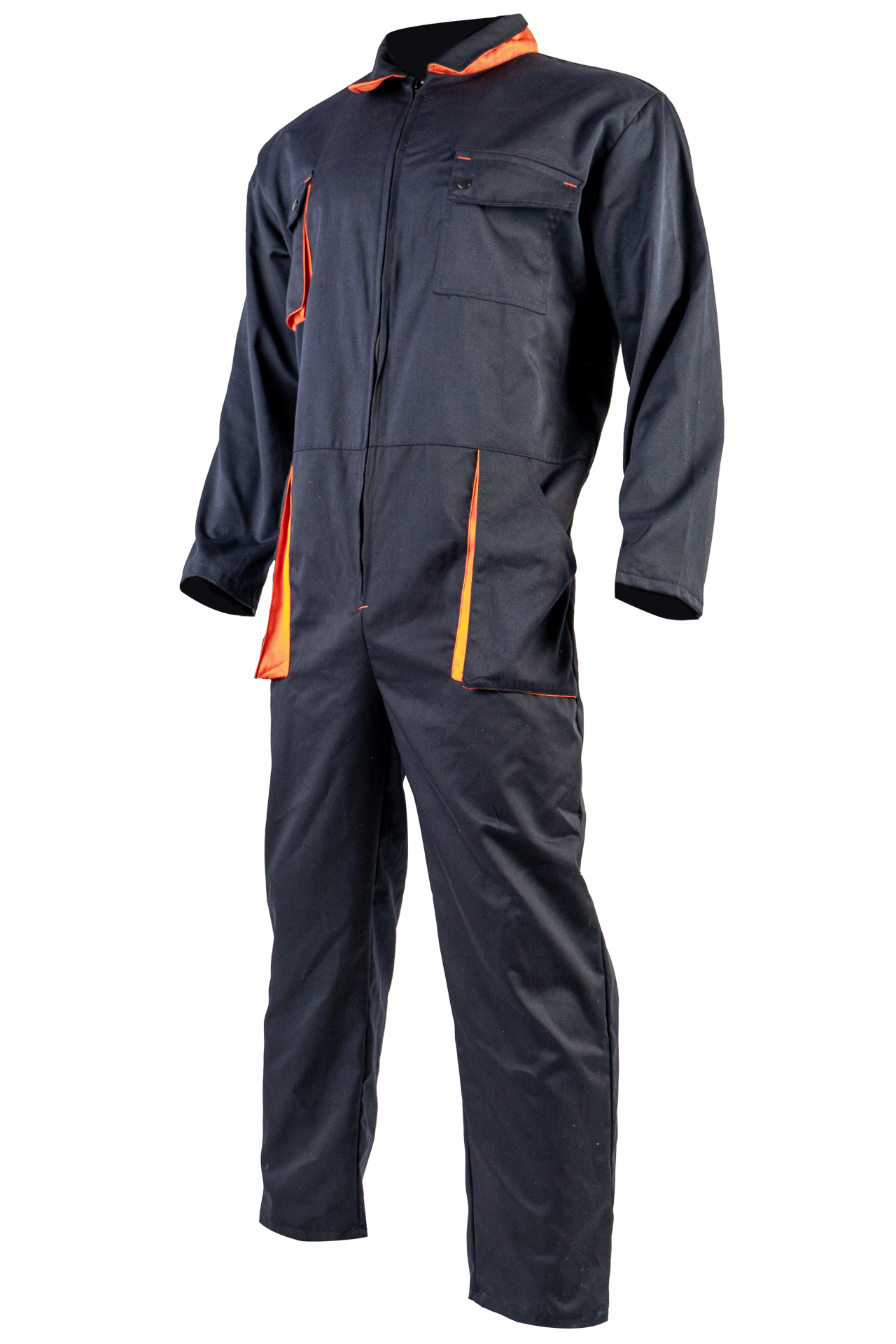 T DSC01818-1